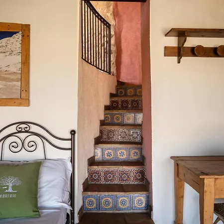 Roba Degli Ulivi *
