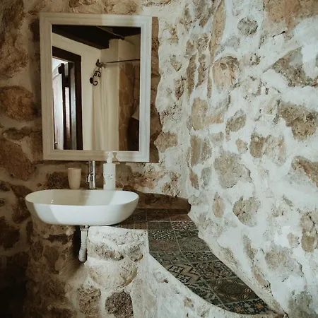 Roba Degli Ulivi